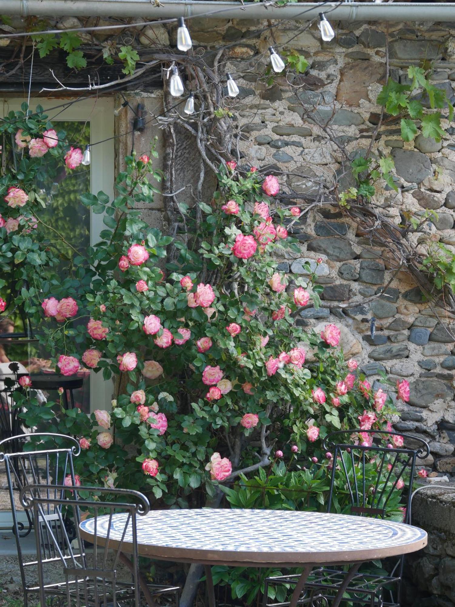 Bed and Breakfast Les Jardins De Lumiere Brusque Exteriér fotografie