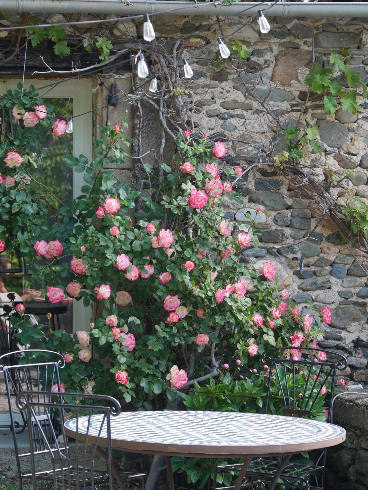 Bed and Breakfast Les Jardins De Lumiere Brusque Exteriér fotografie